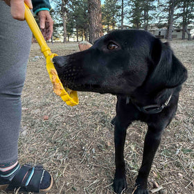Stick Hand-Held Dog Enrichment Toy