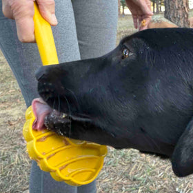 Stick Hand-Held Dog Enrichment Toy