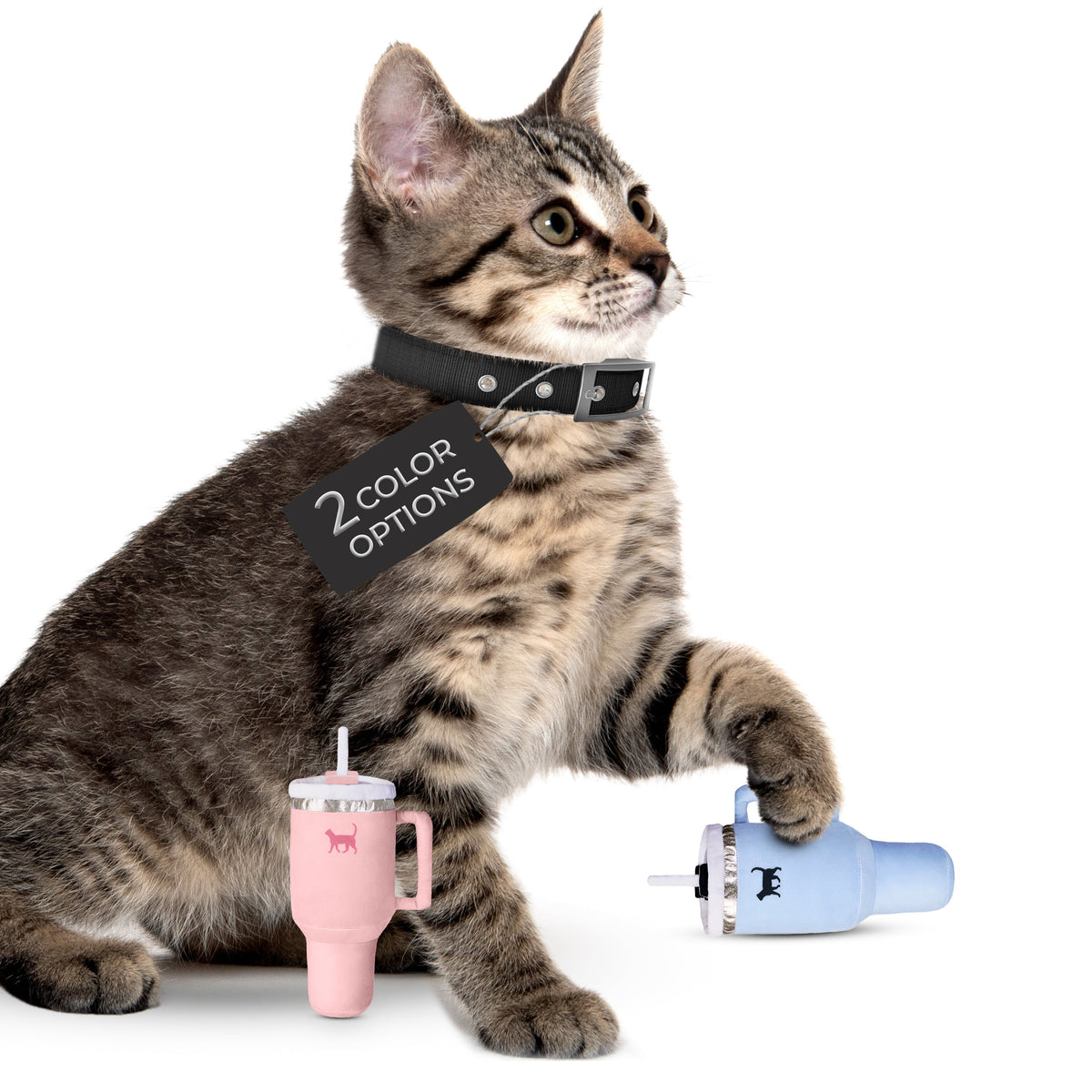 Catnip & Crinkle Plush Cat Toy