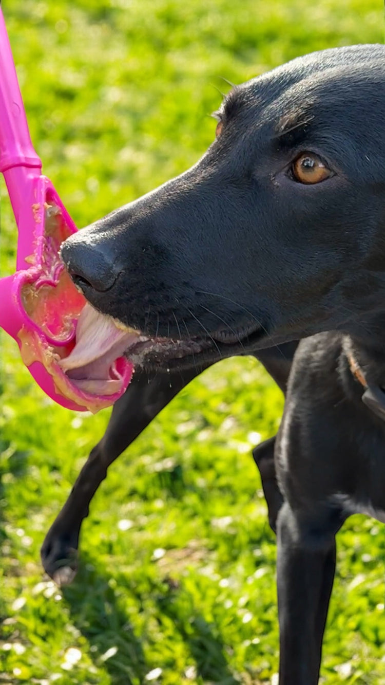 Stick Hand-Held Dog Enrichment Toy
