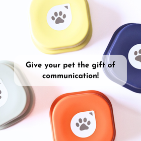 Recordable Training Buttons (Set of 4 With Mat)