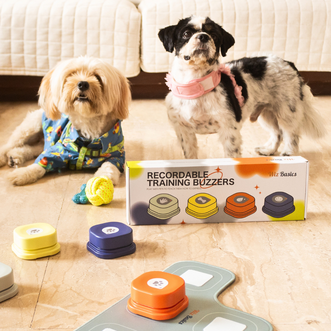 Recordable Training Buttons (Set of 4 With Mat)