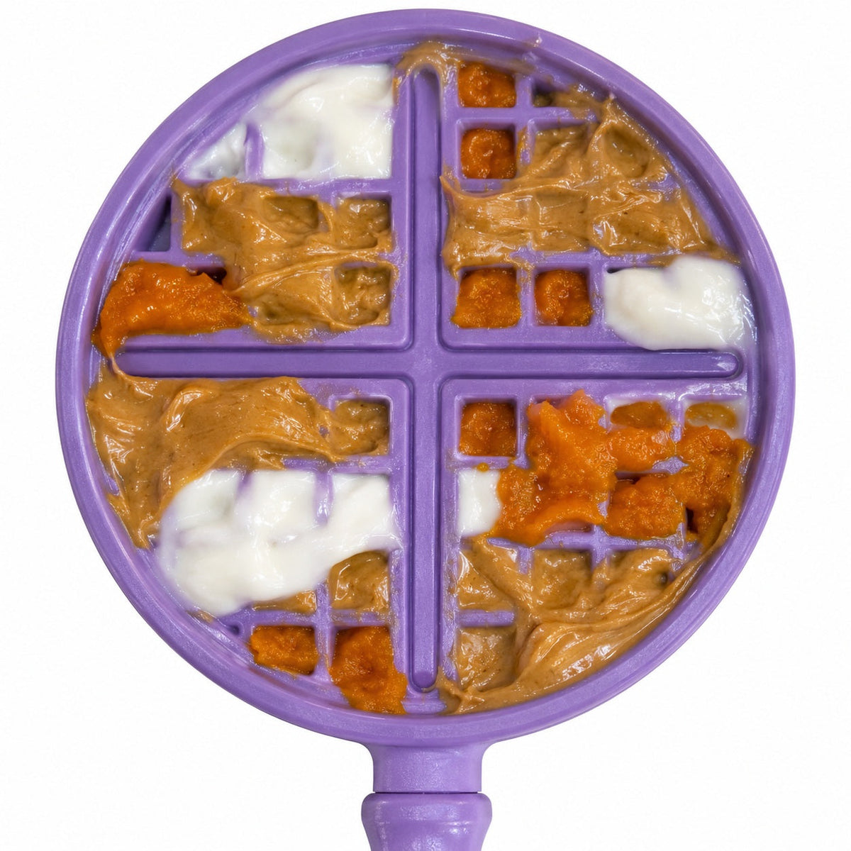 Stick Hand-Held Dog Enrichment Toy