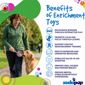 Stick Hand-Held Dog Enrichment Toy