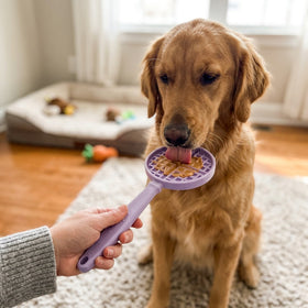Stick Hand-Held Dog Enrichment Toy