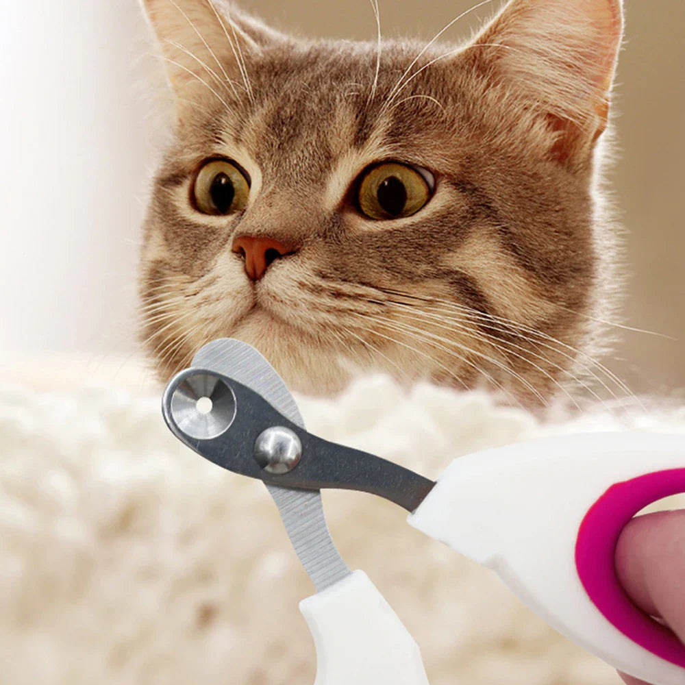 Small Nail Clippers