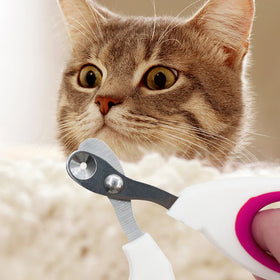 Small Nail Clippers