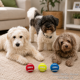 KONG Sport Softies Balls Assorted Medium 3PK