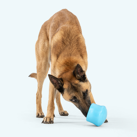 Toppl - Puzzle Treat Toy