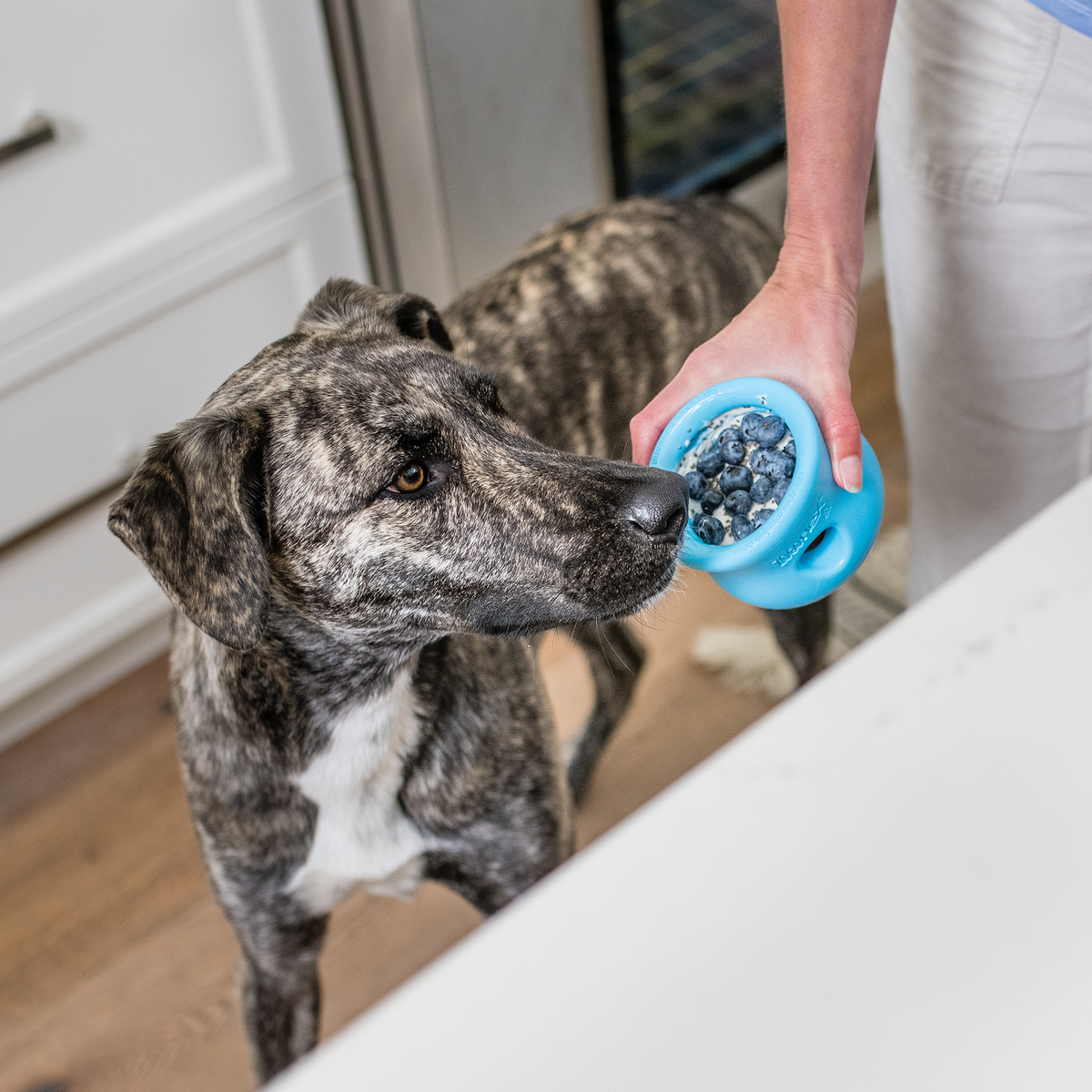 Toppl - Puzzle Treat Toy