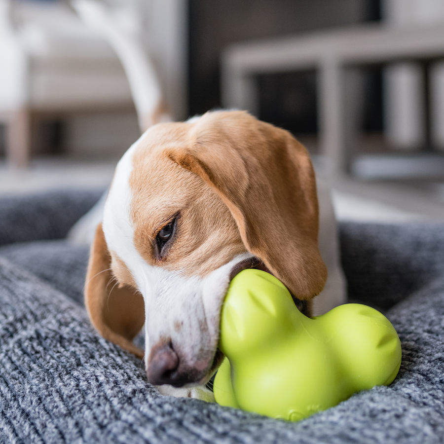 Tux - The Toughest Treat Toy