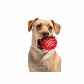 Squeaky Interactive Dog Balls for Puppy Teething