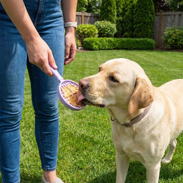 Stick Hand-Held Dog Enrichment Toy
