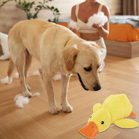 Stuffed Duck