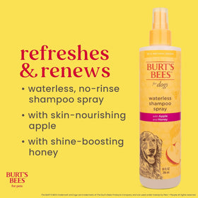 Waterless Shampoo Spray for Dogs, Apple & Honey, No-Rinse Dry Dog Shampoo for All Dogs and Puppies, Ph Balanced, No Sulfates, Parabens, Phthalates, 10 Fl Oz