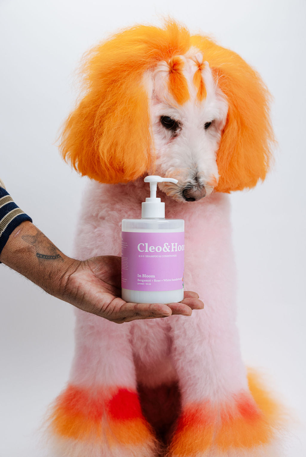 Dog Shampoo & Conditioner, In Bloom by Cleo & Hooman