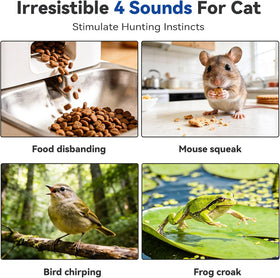 Interactive Cat Toy for Indoor Cats, Motion Activated Ball &7-Hole Maze Mat