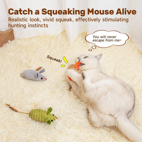 Interactive Cat Nip Chirping Toy Cat Chew