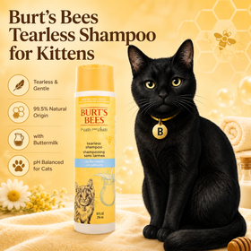 Tearless Kitten Shampoo with Buttermilk and Honey, 10 Fl Oz