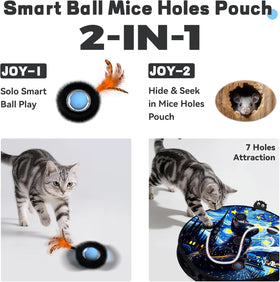 Interactive Cat Toy for Indoor Cats, Motion Activated Ball &7-Hole Maze Mat