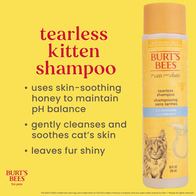 Tearless Kitten Shampoo with Buttermilk and Honey, 99% Natural Origin Gentle Cat Shampoo for Sensitive and Itchy Skin, Ph Balanced and Fragrance-Free, 10 Fl Oz