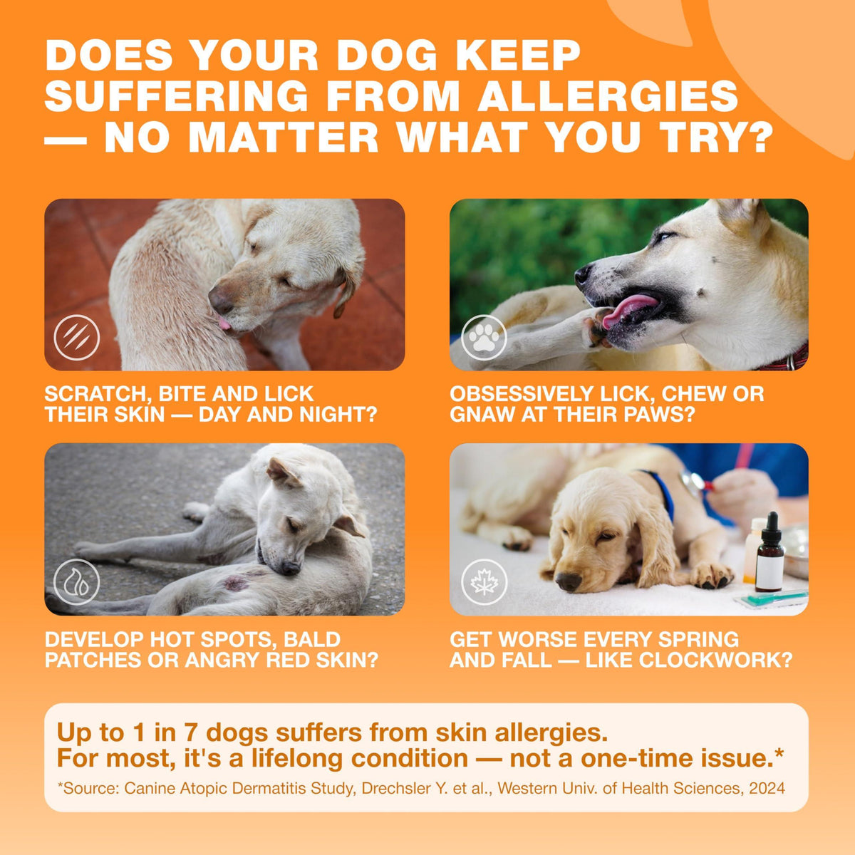 Dog Allergy Relief Chews with Probiotics, Colostrum, Salmon Oil