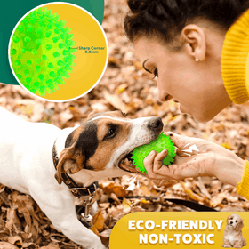 Squeaky Interactive Dog Balls for Puppy Teething