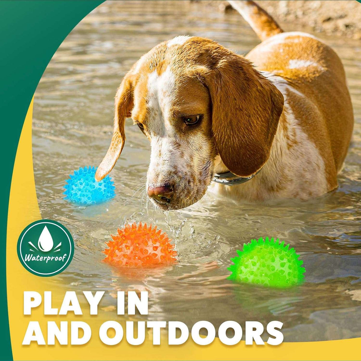 Squeaky Interactive Dog Balls for Puppy Teething