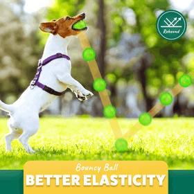 Squeaky Interactive Dog Balls for Puppy Teething