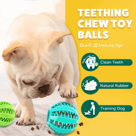 Squeaky Interactive Dog Balls for Puppy Teething