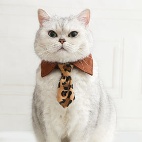 Cat Bow Tie Collar In Multiple Styles