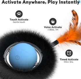 Interactive Cat Toy for Indoor Cats, Motion Activated Ball &7-Hole Maze Mat