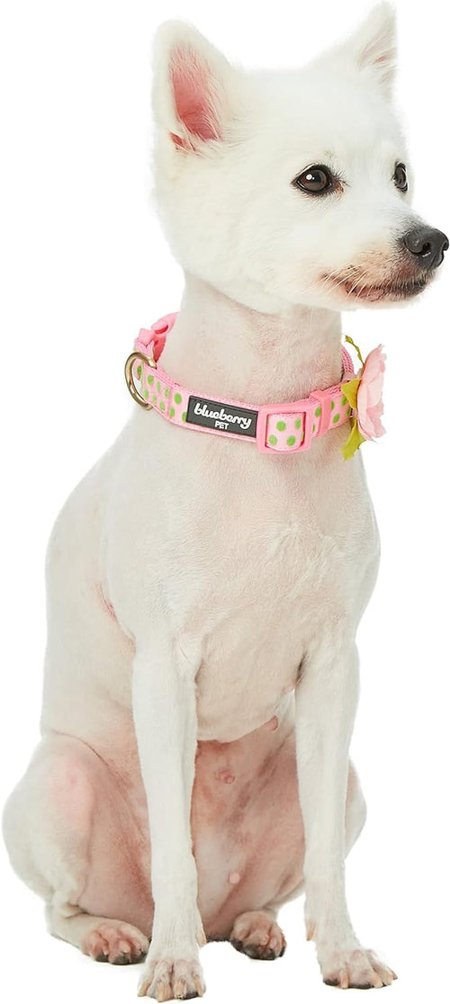 Adjustable Flocking Dog Collar with Silk Flower, Polka Dot in Baby Pink, Large - Dog Collars for Small Dogs, Girl Dog Collars, Pink Dog Collar, Neck 18-26"