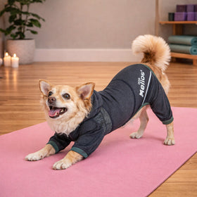 Lightweight Stretch Tracksuit Hoodie