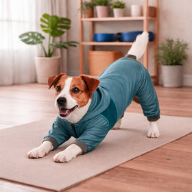 Lightweight Stretch Tracksuit Hoodie