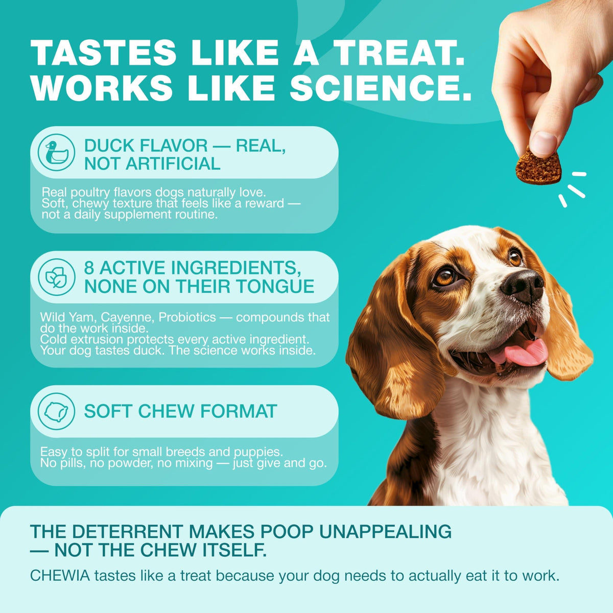 Dog Probiotics for Digestive Health with Enzymes