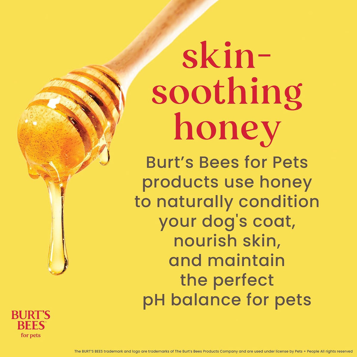 Waterless Shampoo Spray for Dogs, Apple & Honey, No-Rinse Dry Dog Shampoo for All Dogs and Puppies, Ph Balanced, No Sulfates, Parabens, Phthalates, 10 Fl Oz