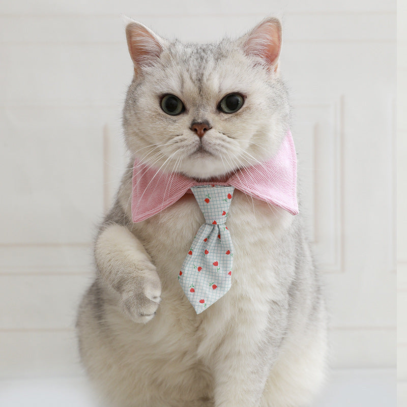 Cat Bow Tie Collar In Multiple Styles