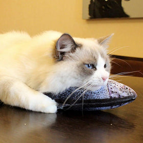 Electric Cat Toy 3D Fish USB Charging