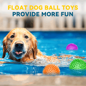 Squeaky Interactive Dog Balls for Puppy Teething