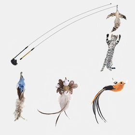 Feather Bird with Bell Toy