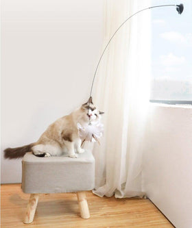 Feather Bird with Bell Toy