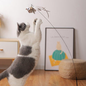 Feather Bird with Bell Toy