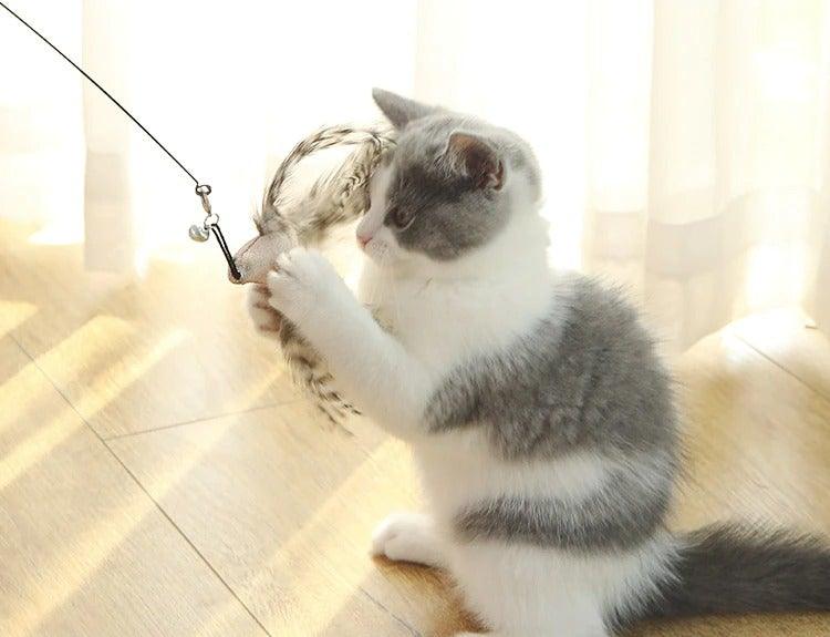 Feather Bird with Bell Toy