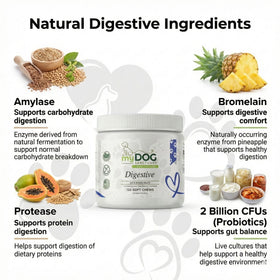 Gut Garden Digestive Support Chews