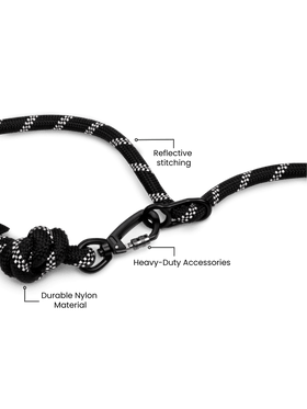 Runners Hands Free Dog Leash