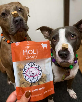 Lamb Liver Dog Treats - Freeze Dried - Single Ingredient