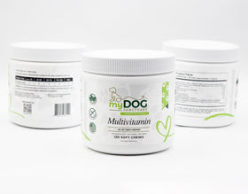Sanctuary Strength Daily Multivitamin Chews