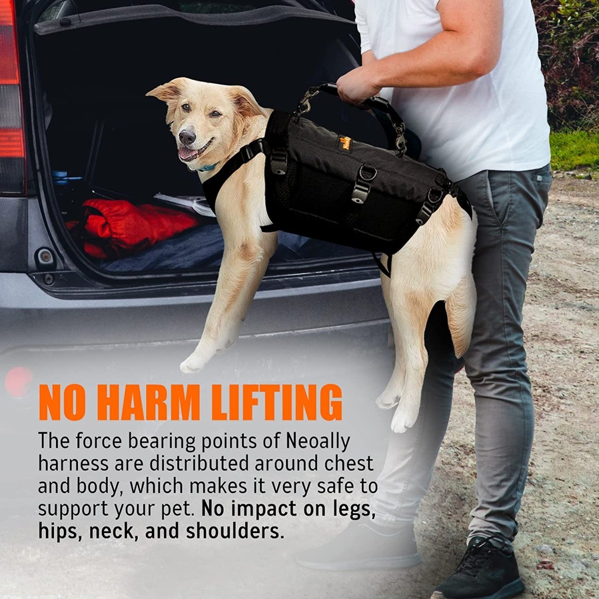 5-in-1 Sturdy Dog Lift Harness Full Body Support