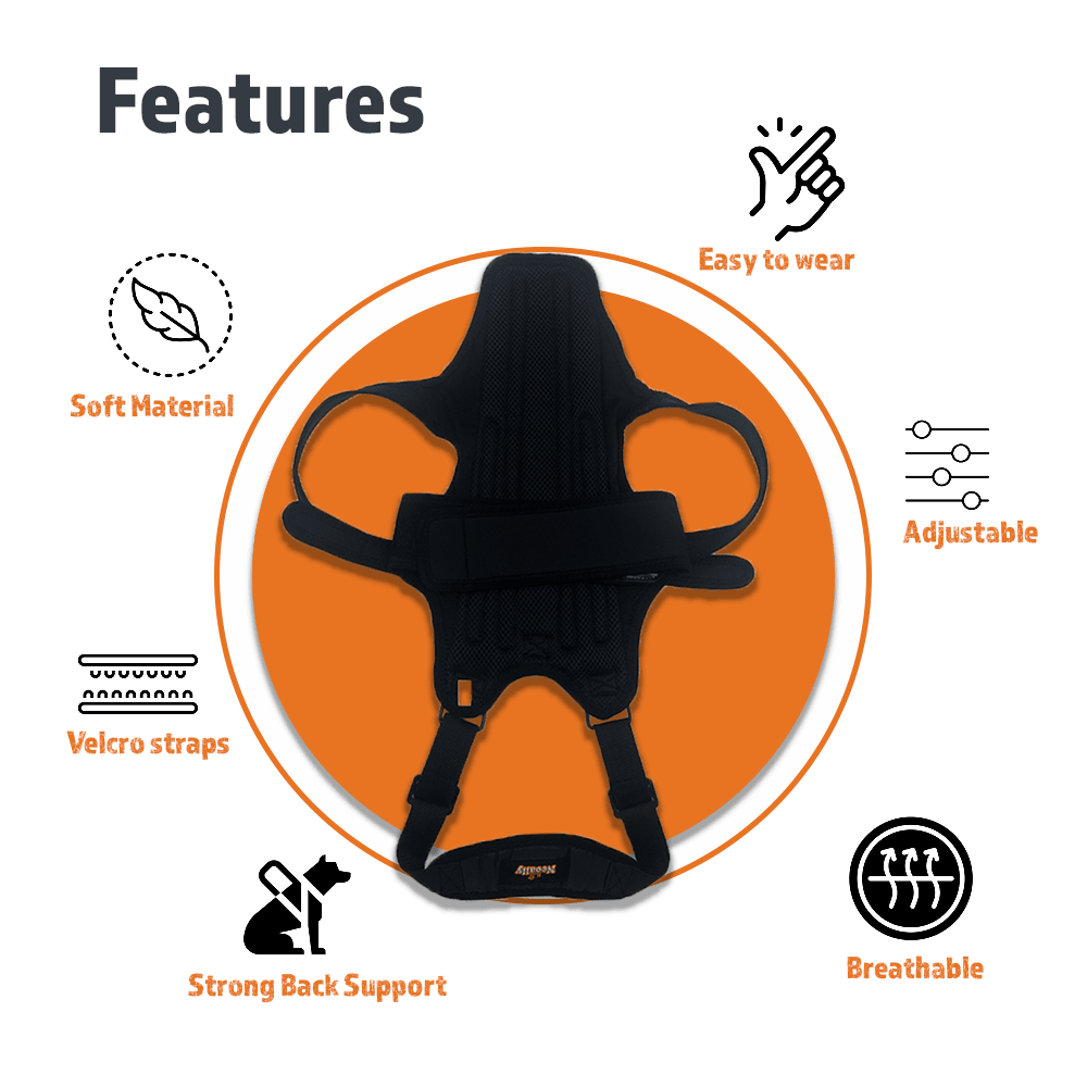Dog Back Brace for Dogs with Inserts for Extra Support